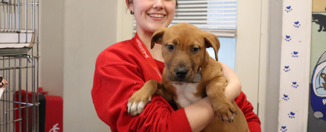 Volunteer Grace Cannizzaro