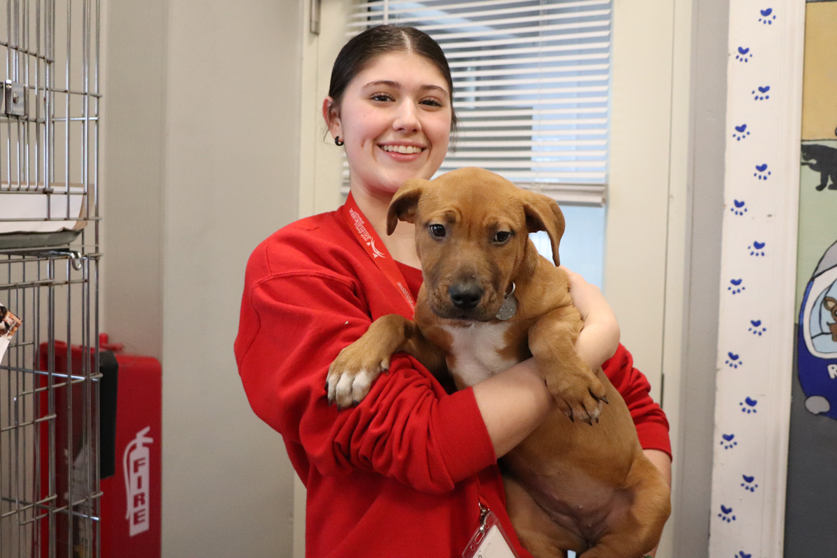 grace-volunteer-appreciation-3 Volunteer Grace Cannizzaro