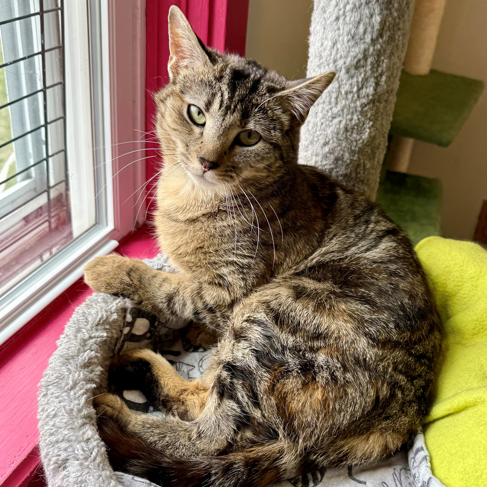 Meet Katy