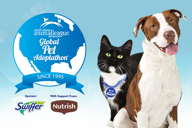 Global Pet Adoptathon