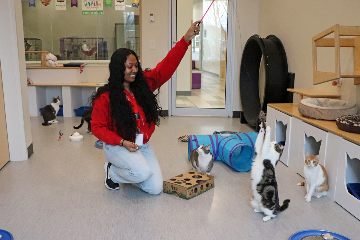 volunteer-appreciation-saarah1