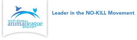 Animal League (webdev) Logo